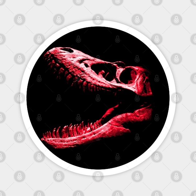 Dinosaur Skull Red Magnet by RaphaelWolf